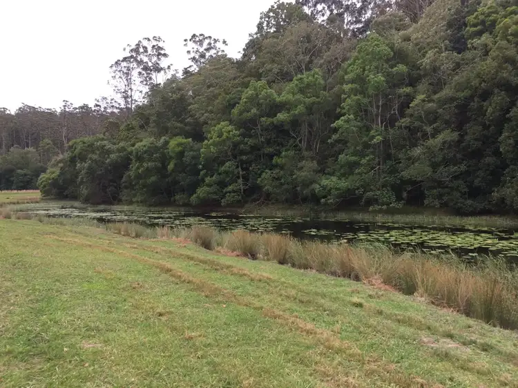 Seventh view of Homely rural property listing, 1111 South Arm Road, Brierfield NSW 2454