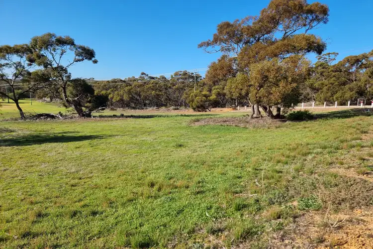 Main view of Homely land listing, 99 Martin Street, Ravensthorpe WA 6346
