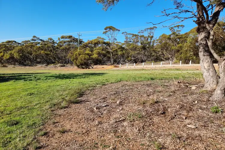 Fifth view of Homely land listing, 99 Martin Street, Ravensthorpe WA 6346