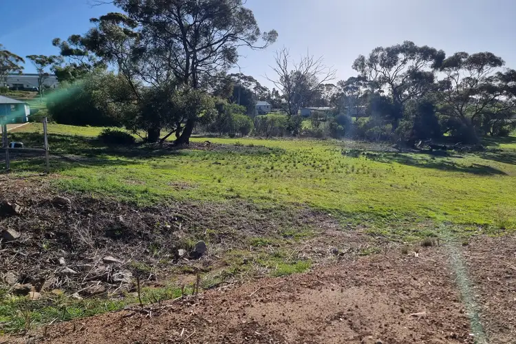 Sixth view of Homely land listing, 99 Martin Street, Ravensthorpe WA 6346