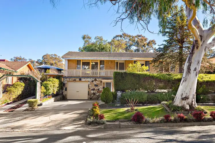 31 Lachlan Street, Macquarie ACT 2614
