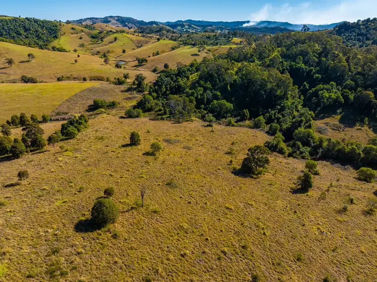 Second view of Homely rural property listing, 118 Watsons Road, Wang Wauk NSW 2423