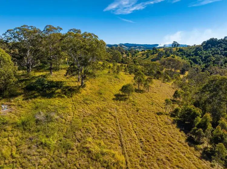 Third view of Homely rural property listing, 118 Watsons Road, Wang Wauk NSW 2423
