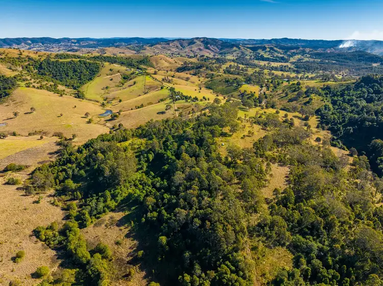 Fifth view of Homely rural property listing, 118 Watsons Road, Wang Wauk NSW 2423