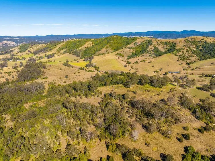 Sixth view of Homely rural property listing, 118 Watsons Road, Wang Wauk NSW 2423