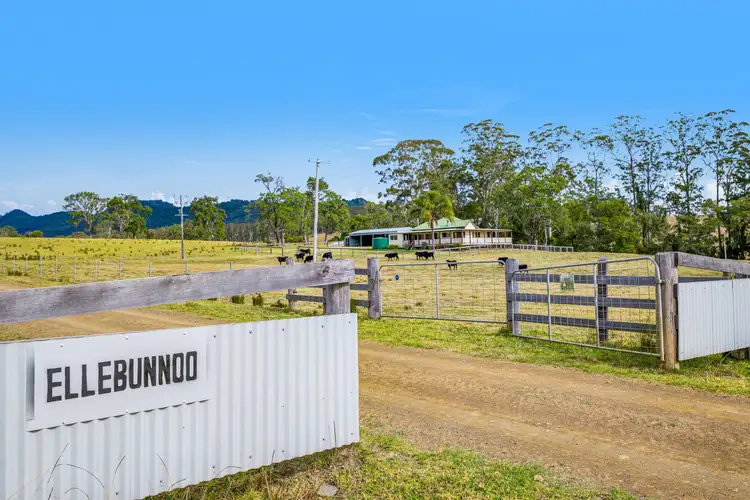 176A Mcmillans Road, Ellenborough NSW 2446