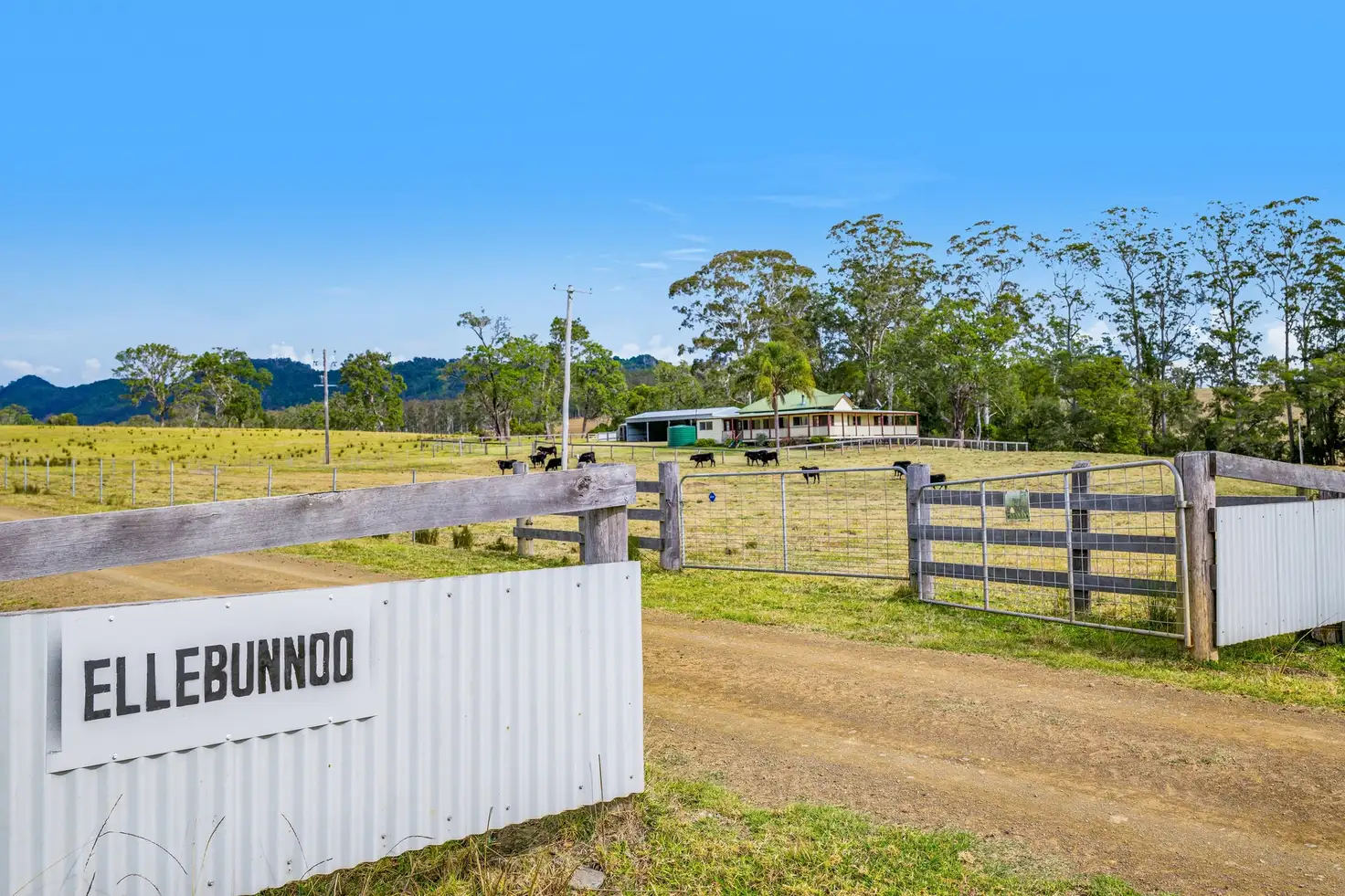Main view of Homely rural property listing, 176A Mcmillans Road, Ellenborough NSW 2446