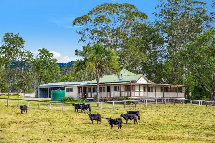 Second view of Homely rural property listing, 176A Mcmillans Road, Ellenborough NSW 2446