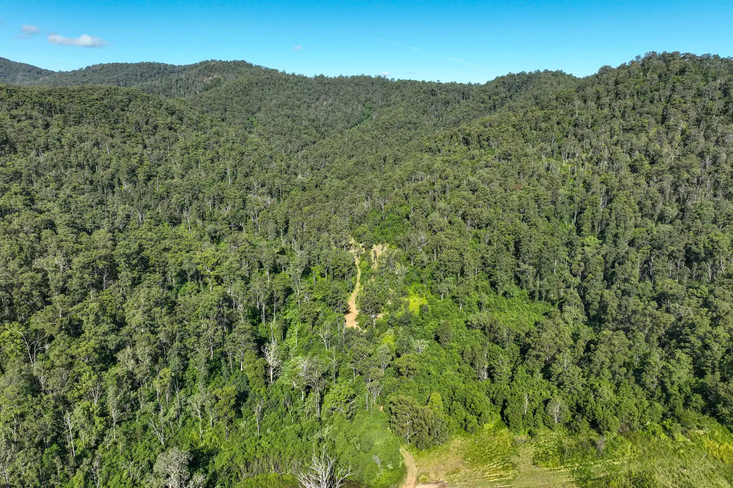 Main view of Homely rural property listing, 62 Cells Road, Number One NSW 2424