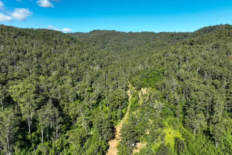 Third view of Homely rural property listing, 62 Cells Road, Number One NSW 2424