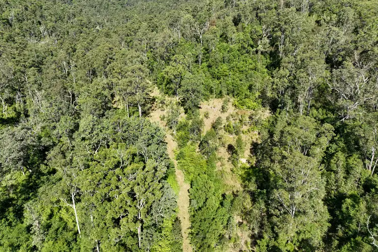 Fourth view of Homely rural property listing, 62 Cells Road, Number One NSW 2424