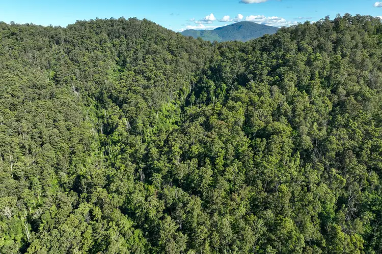 Fifth view of Homely rural property listing, 62 Cells Road, Number One NSW 2424