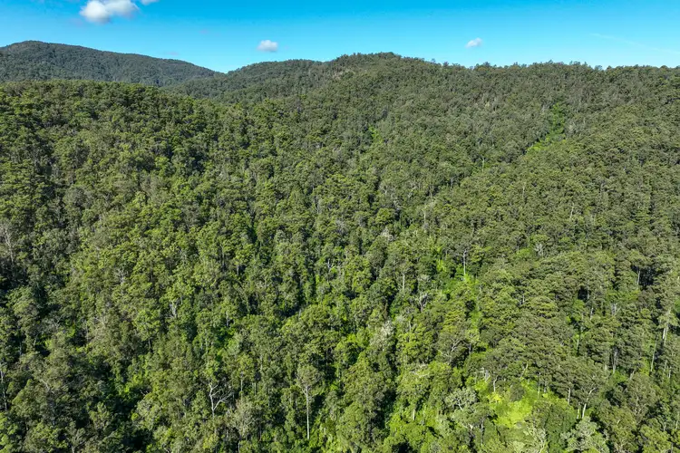 Sixth view of Homely rural property listing, 62 Cells Road, Number One NSW 2424