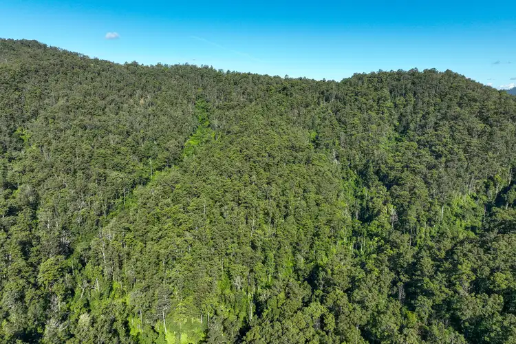 Seventh view of Homely rural property listing, 62 Cells Road, Number One NSW 2424