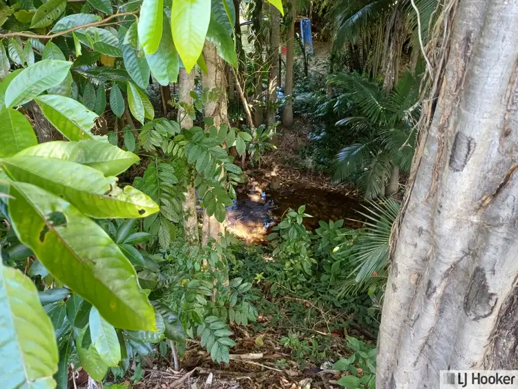 Sixth view of Homely land listing, 3 Clarke-Kennedy Street, Tully QLD 4854
