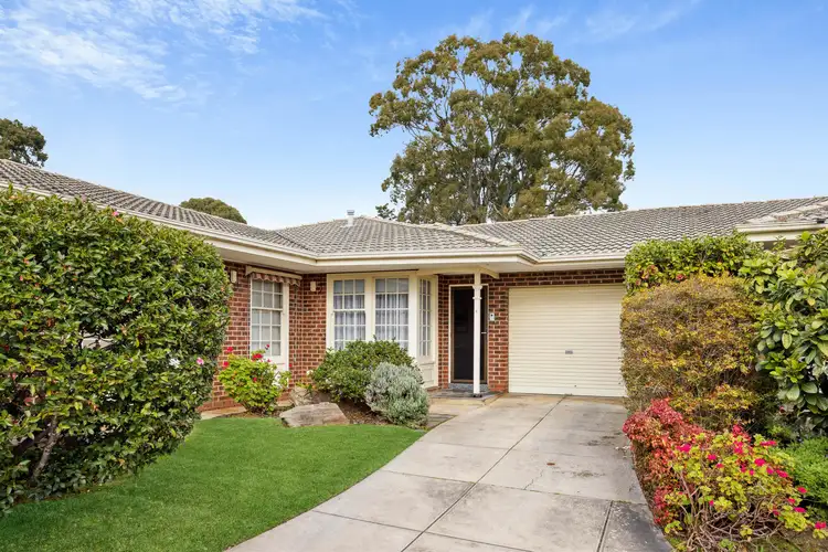 Main view of Homely unit listing, 4/384 Glynburn Road, Kensington Gardens SA 5068