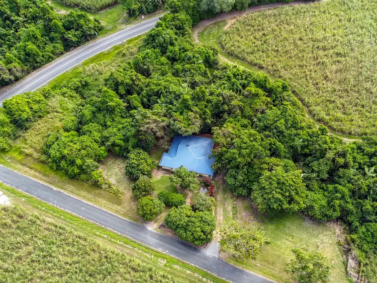 Third view of Homely house listing, 68 Lower Cassowary Road, Cassowary QLD 4873