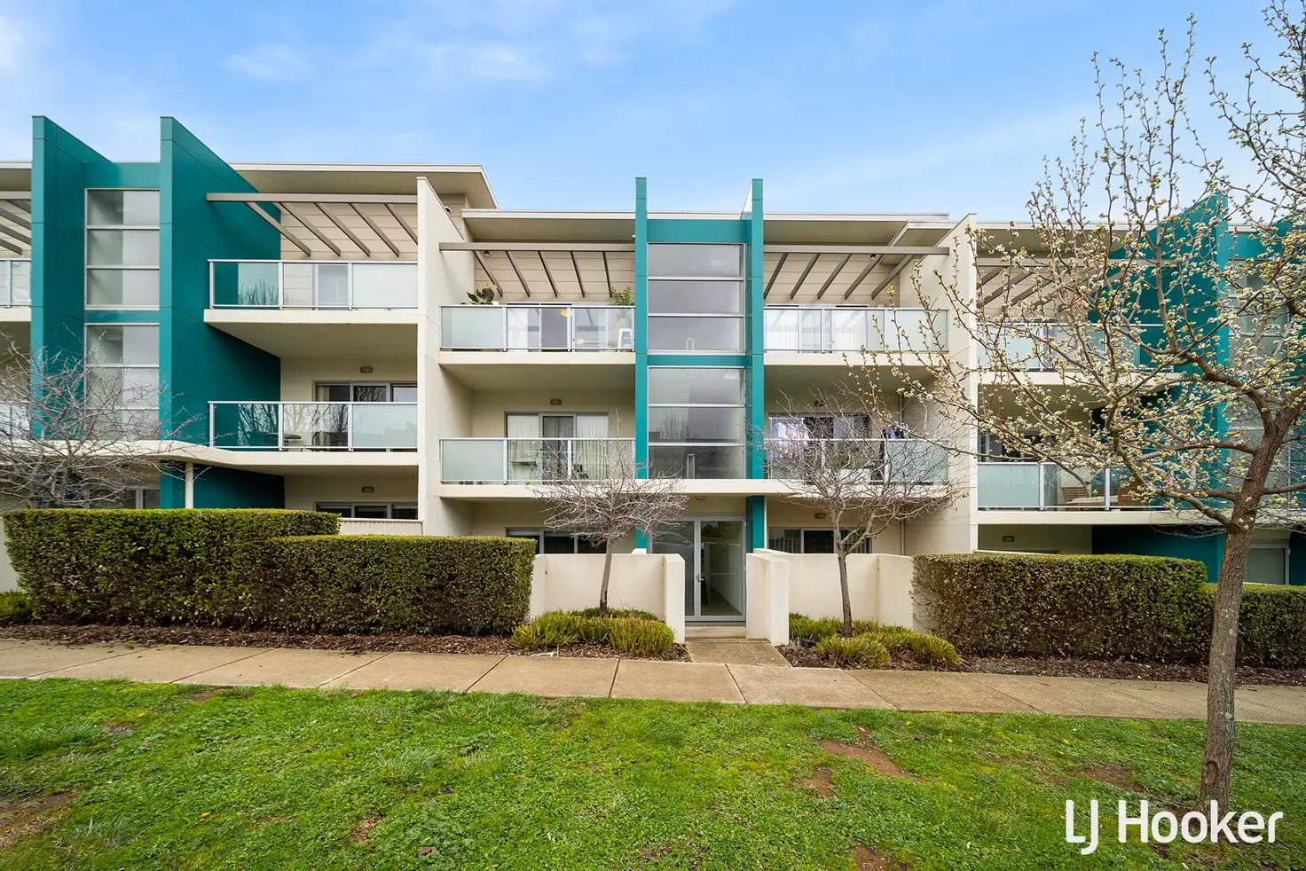 Main view of Homely unit listing, 31/311 Flemington Road, Franklin ACT 2913