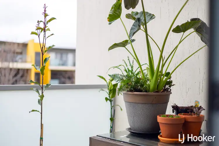 Third view of Homely unit listing, 31/311 Flemington Road, Franklin ACT 2913