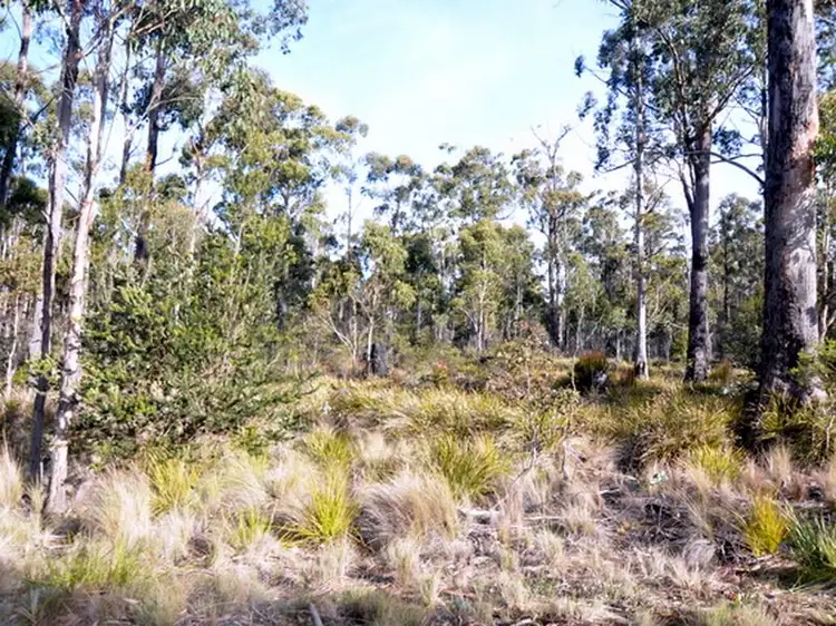 Main view of Homely land listing, 103 Lake View Road, Lake Leake TAS 7210