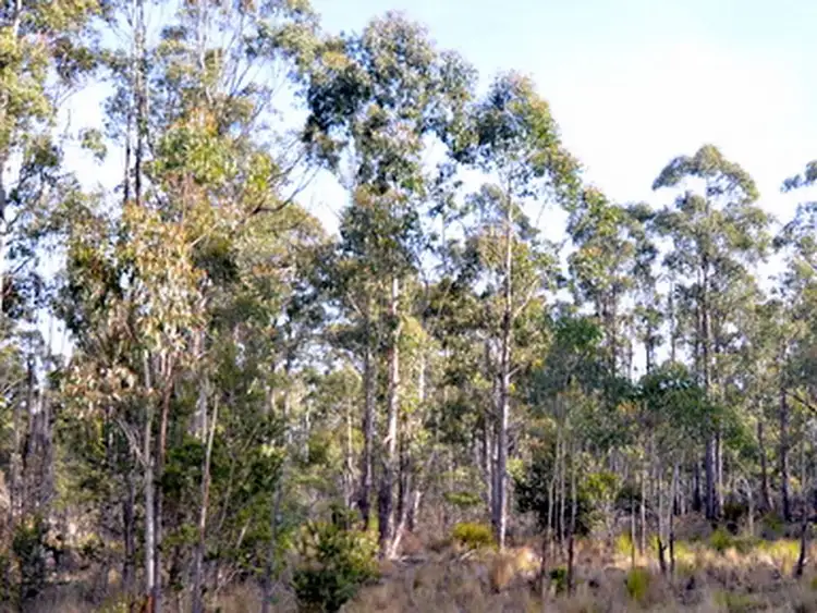 Third view of Homely land listing, 103 Lake View Road, Lake Leake TAS 7210