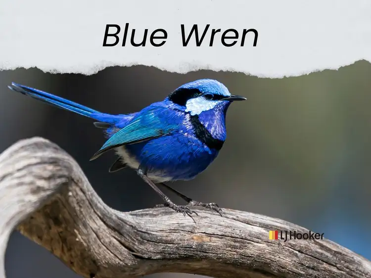 Lot Blue Wren Estate/Lot 2 134 Dappo Road, Narromine NSW 2821