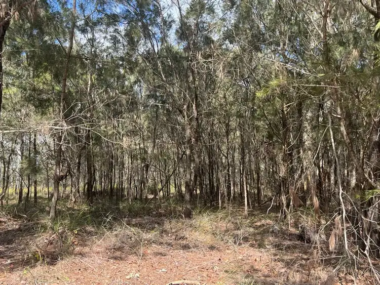16 Wirralee Street, Macleay Island QLD 4184