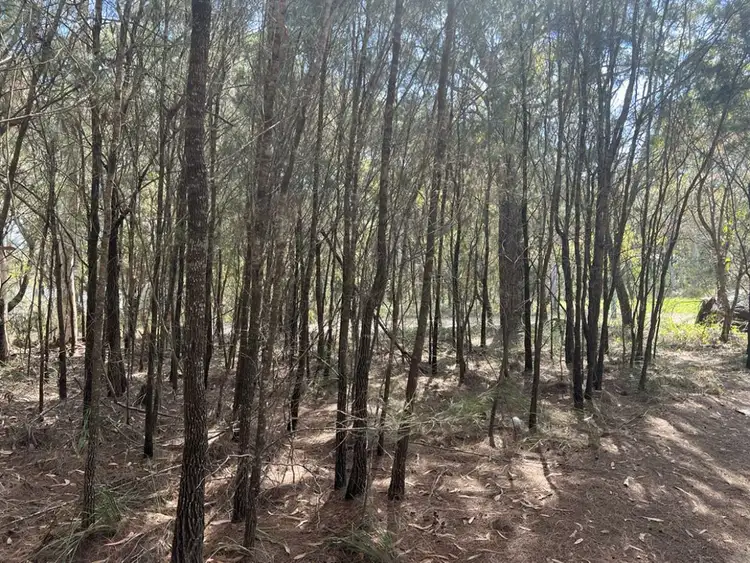 Fifth view of Homely land listing, 16 Wirralee Street, Macleay Island QLD 4184