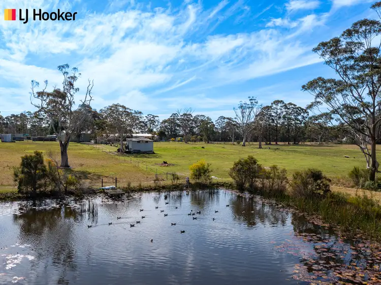 Second view of Homely rural property listing, 271 Turpentine Road, Tomerong NSW 2540