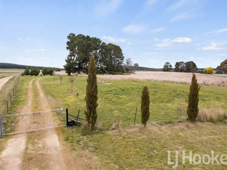 Fifth view of Homely house listing, 994 Dog Rocks Road, Black Springs NSW 2787