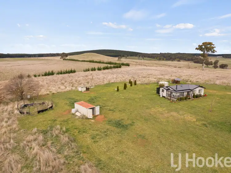 Seventh view of Homely house listing, 994 Dog Rocks Road, Black Springs NSW 2787