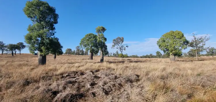 Sixth view of Homely land listing, 98 Benhams Road, Mundubbera QLD 4626