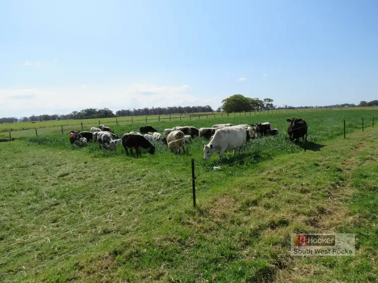 Third view of Homely rural property listing, 379 Summer Island Road, Summer Island NSW 2440