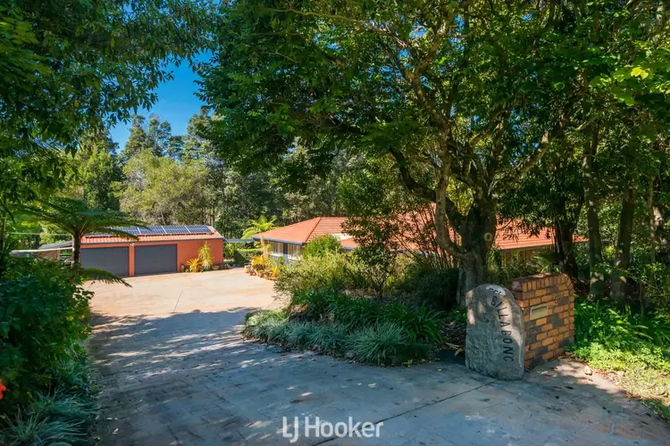 Second view of Homely house listing, 67 Platypus Drive, Uralba NSW 2477