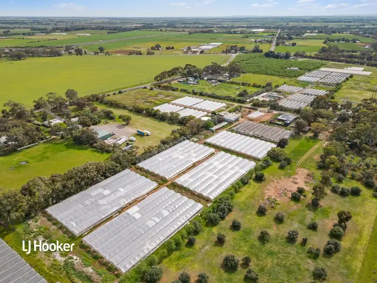 Fourth view of Homely land listing, Lot 700/12 Pannan Road, Munno Para Downs SA 5115