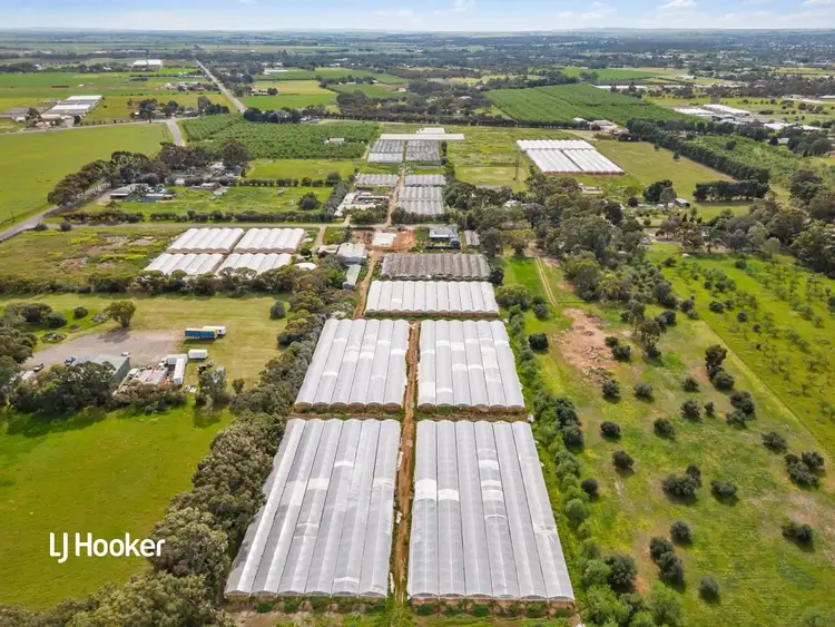 Fifth view of Homely land listing, Lot 700/12 Pannan Road, Munno Para Downs SA 5115