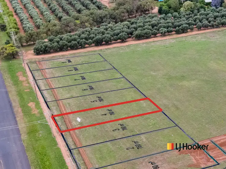 Main view of Homely land listing, 124 Dappo Road, Narromine NSW 2821