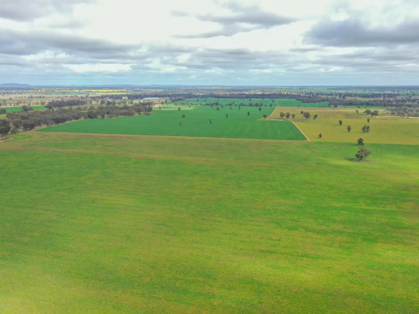 Main view of Homely rural property listing, 223 Morans Road, Bribbaree NSW 2594