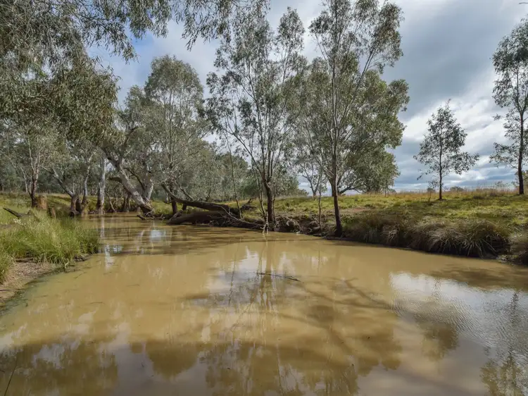 Second view of Homely rural property listing, 223 Morans Road, Bribbaree NSW 2594