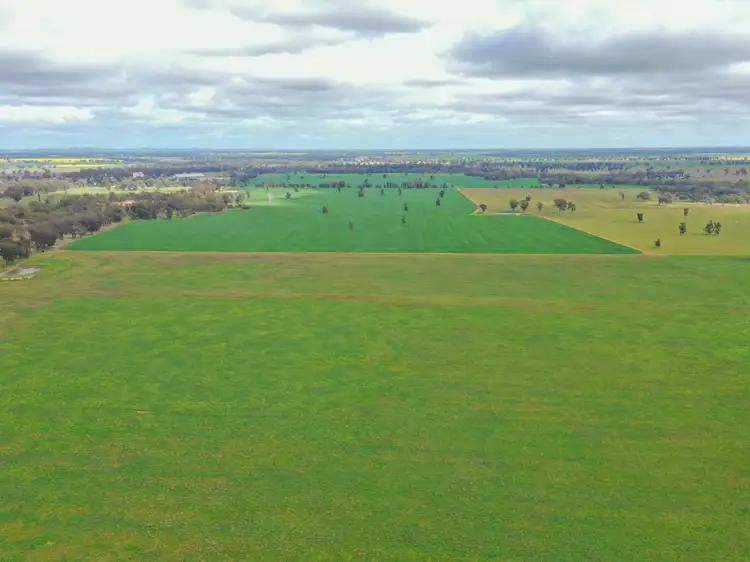 Third view of Homely rural property listing, 223 Morans Road, Bribbaree NSW 2594