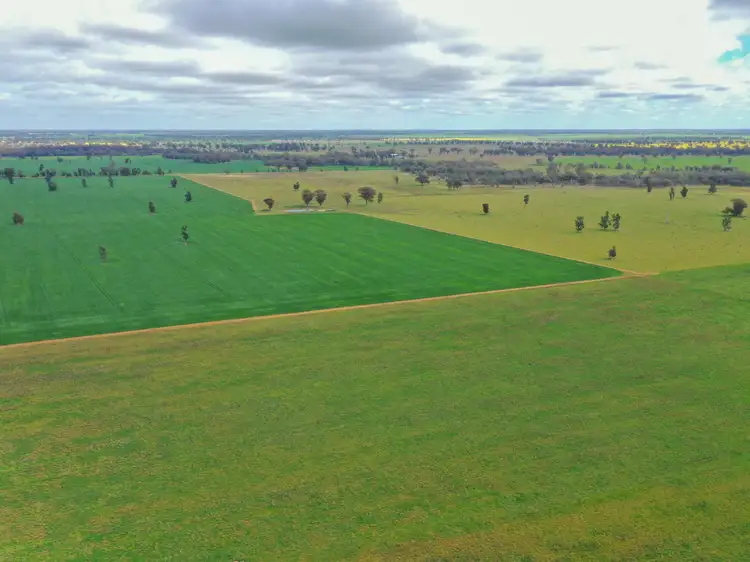 Fourth view of Homely rural property listing, 223 Morans Road, Bribbaree NSW 2594