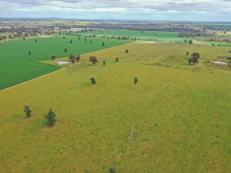 Sixth view of Homely rural property listing, 223 Morans Road, Bribbaree NSW 2594
