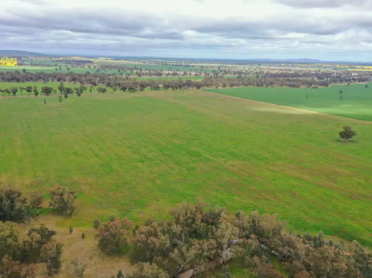 Seventh view of Homely rural property listing, 223 Morans Road, Bribbaree NSW 2594