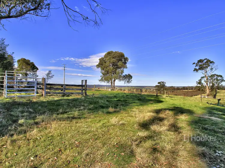 Main view of Homely rural property listing, 1738 Great Alpine Road, Sarsfield VIC 3875