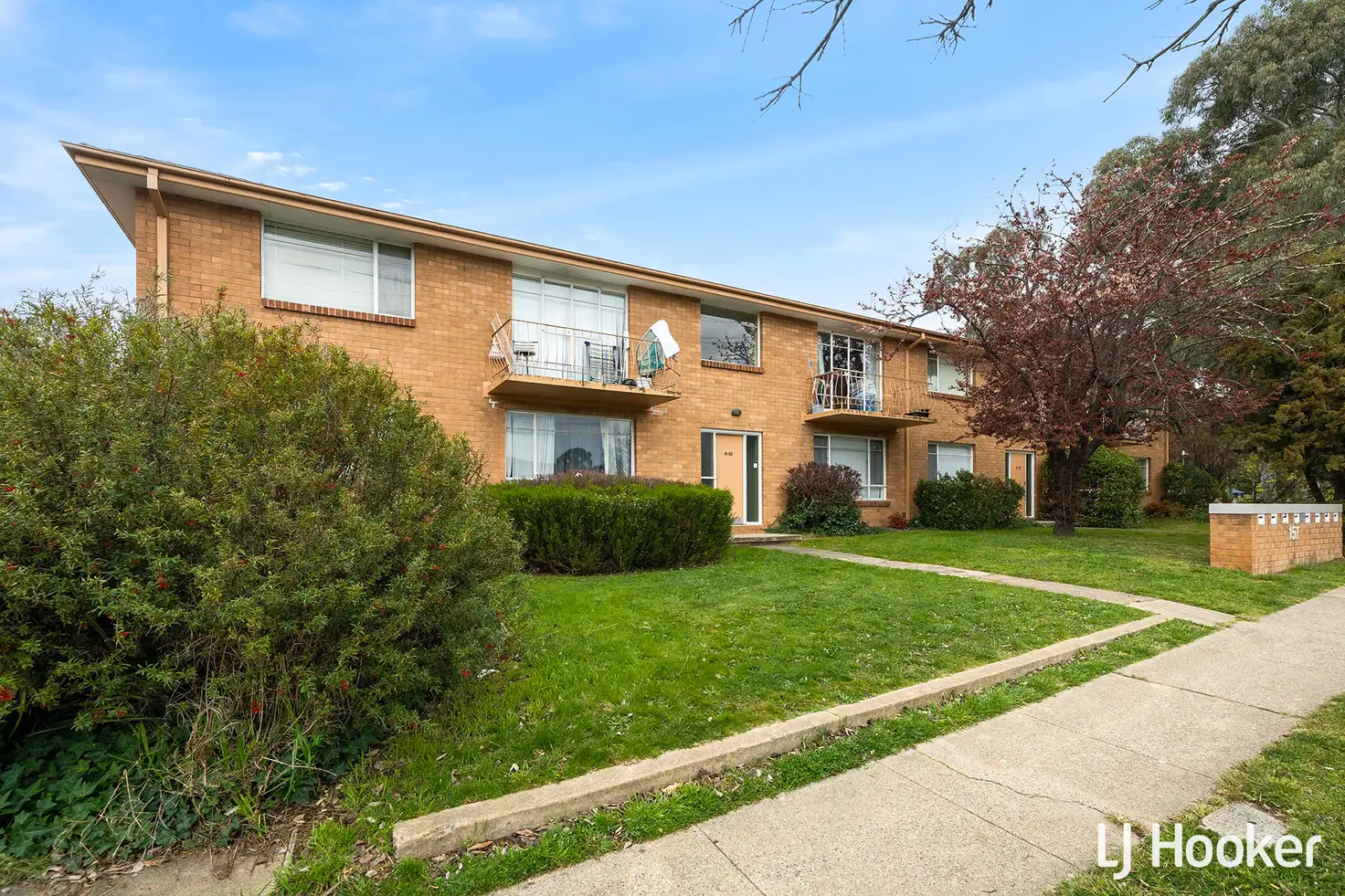 Main view of Homely unit listing, 8/157 Knox Street, Watson ACT 2602