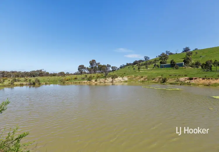 Seventh view of Homely land listing, 115 Gairns Lane, Tallarook VIC 3659