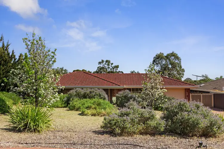 Second view of Homely house listing, 19 Powell Drive, Gawler East SA 5118