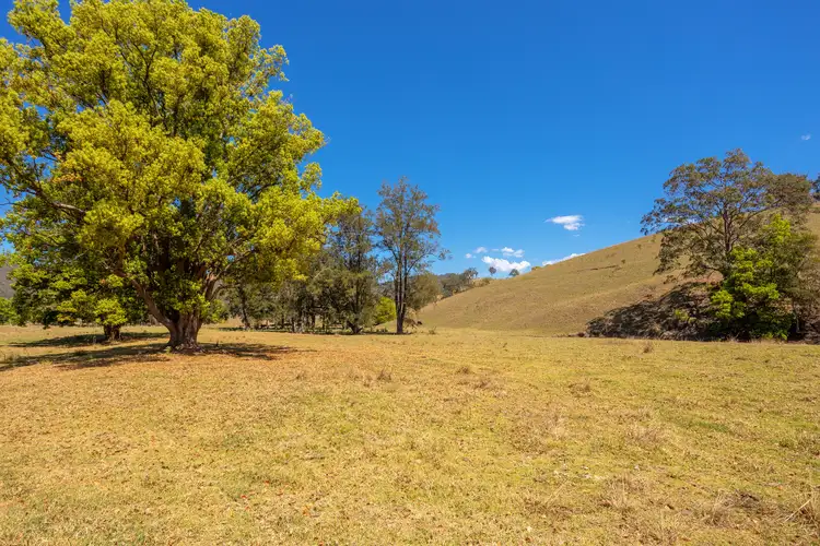 Main view of Homely rural property listing, Lot A Big Run Road, Wherrol Flat NSW 2429
