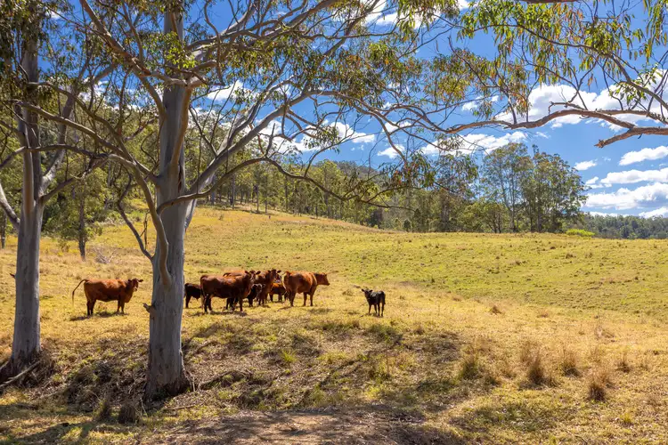 Third view of Homely rural property listing, Lot A Big Run Road, Wherrol Flat NSW 2429
