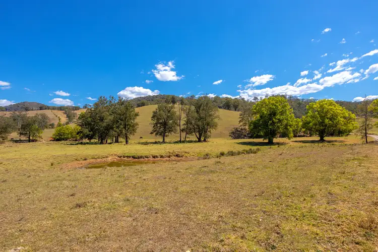 Fifth view of Homely rural property listing, Lot A Big Run Road, Wherrol Flat NSW 2429